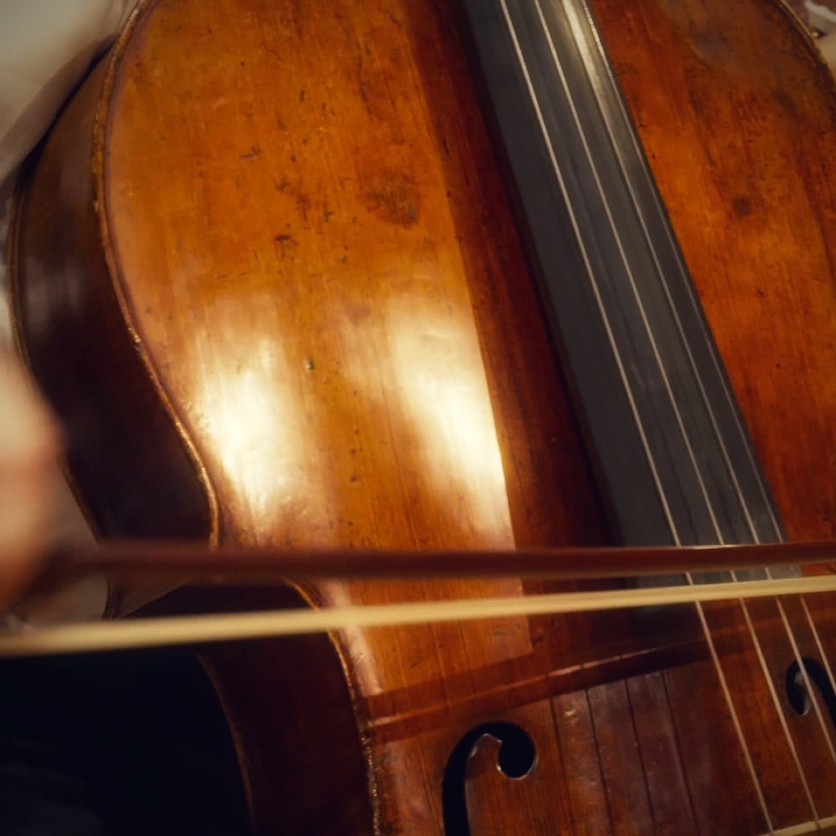 Close-up of a historic cello and bow